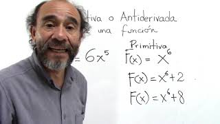 6 Primitiva o Antiderivada Cálculo Integral [upl. by Isaac383]