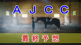 AJCC 2024  最終予想 [upl. by Ailisab991]