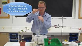 Testing a leaf for starch for IGCSE Biology [upl. by Pryce]