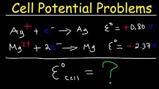 Cell Potential Problems  Electrochemistry [upl. by Marya]