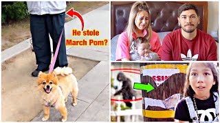 WE BELIEVE SOMEONE STOLE OUR PUPPY MARCH POM Part 2 [upl. by Husein]