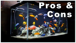 75 Gallon Aquarium Pros and Cons So Many Options [upl. by Luby]