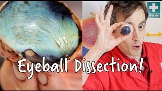 Whats inside an eyeball  Eyeball Dissection  We The Curious [upl. by Aitnuahs]