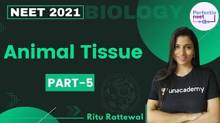 Animal Tissue  Part 5  NEET 2021  NEET Biology  Ritu Rattewal [upl. by Nathalie]