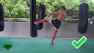 Muay Thai  How to throw a Kick [upl. by Ahsita912]