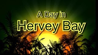 A Day In Hervey Bay [upl. by Nagol]