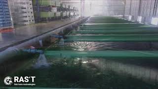 How Does a Recirculating Aquaculture System Works [upl. by Tanner709]