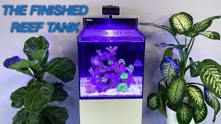 How to Setup a Reef Tank  Part 5 Hardy Beginner Fish amp Cycling [upl. by Mickelson]