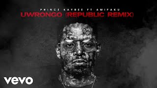 Prince Kaybee Ami Faku  Uwrongo Republic Remix  Visualizer [upl. by Hugo447]