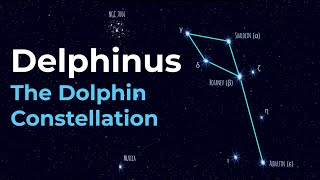 How to Find Delphinus the Dolphin Constellation [upl. by Nnylsor]