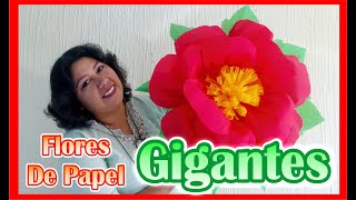 DIY  Como Hacer Flores De Papel Crepe  GIGANTES [upl. by Xylon474]