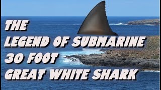 The Legend Of Submarine  30 Foot Great White Shark [upl. by Garreth]