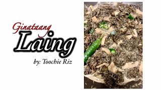 Laing RecipeHow to cook Ginataang Laing with pork [upl. by Arimay]