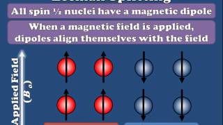 NMR  Zeeman Splitting Explained [upl. by Yessydo]