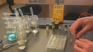 Electrochemistry Lab Demo [upl. by Welcy]