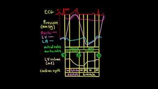 Schneid Guide to Wiggers Diagram [upl. by Esinert]