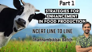 Strategies for enhancement in Food Production  Part 1  NCERT LINE TO LINE  Thannambikkai Batch [upl. by Queenie]