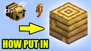 Minecraft how to put BEES IN A BEEHIVE 2024 [upl. by Olegnaleahcim]