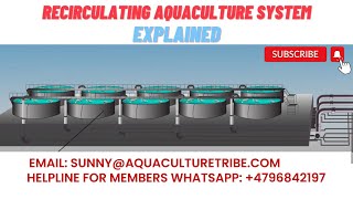 How does the RAS recirculating aquaculture system work [upl. by Rochemont66]