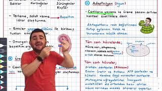 1Canlıların Ortak Özellikleri Konu Anlatımı 9sınıf biyoloji Tyt Biyoloji Konu anlatımı Yks 2023 [upl. by Leander]