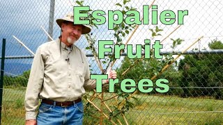 How to Espalier Fruit Trees [upl. by Nnaerb]