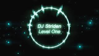 DJ Striden  Level One Electro [upl. by Laitselec870]