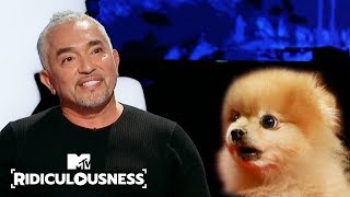 Can Cesar Millan Finally Calm Down Chanels Dog  Ridiculousness [upl. by Fraser69]