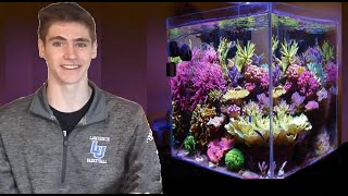 How To Set Up a Nano Reef in 5 Minutes [upl. by Alegnaoj]