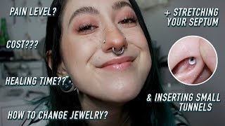 a 101 guide on septum piercings [upl. by Ynnavoj]