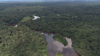 History of the Congo River [upl. by Trinette601]