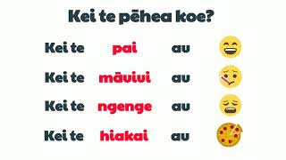 How are you  Learn Māori [upl. by Kenleigh666]