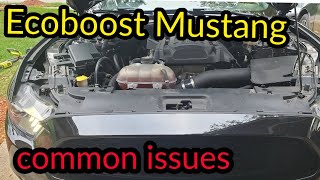 FORD ECOBOOST MUSTANG COMMON ISSUES [upl. by Disraeli]