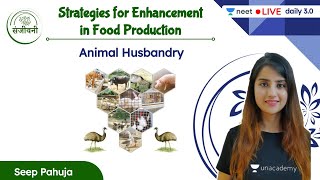 Animal Husbandry  Strategies for Enhancement in Food Production  L1  NEET 202223  Seep Pahuja [upl. by Zillah]