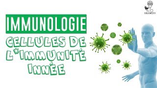 Immunologie  les Cellules de lImmunité Innée [upl. by Ramalahs]