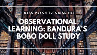 Observational Learning Banduras Bobo Doll Study Intro Psych Tutorial 67 [upl. by Ekud]