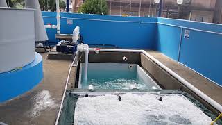 Recirculatory Aquaculture System at ICAR DCFR [upl. by Ailsun]