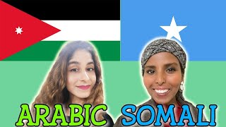 Similarities Between Arabic and Somali [upl. by Searcy]