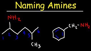 Naming Amines  IUPAC Nomenclature amp Common Names [upl. by Eibbob]