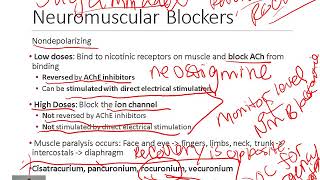 Neuromuscular blockers  Depolarising vs Nondepolarising [upl. by Sivrad368]