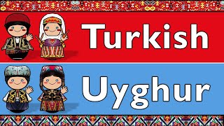 TURKIC TURKISH amp UYGHUR [upl. by Tacklind]