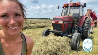 Monsterous Windrows  making 4000 square bales in ONE FIELD WieczorekFarms FarmHer [upl. by Grazia]