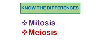 Cell Division Mitosis amp Meiosis [upl. by Naujek266]