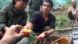 Hallucinogen Honey Hunters  Hunting Mad Honey  Full Documentary [upl. by Ztnarf161]