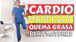 Rutina de CARDIO Moderado QUEMA GRASA para Adultos Mayores [upl. by Ahsaercal]