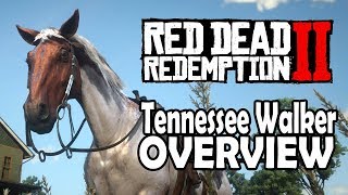 Red Dead Redemption 2 Horses  Tennessee Walker Overview [upl. by Yddub]