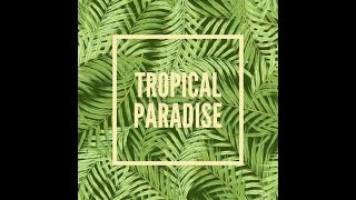 TROPICAL Tech House ALVES [upl. by Kathleen]