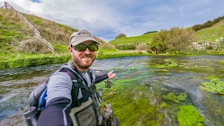 Euro Nymphing STUNNING Small Creeks  BIG TROUT [upl. by Newol554]