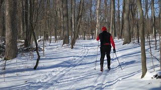 How To CrossCountry Ski A Beginners Guide [upl. by Aikahs]