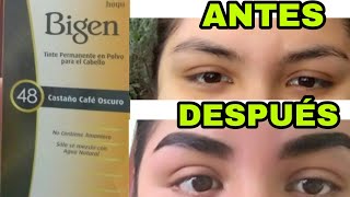 CEJAS con HENNA 😱 POR 2 SEMANAS 💥  Bigen  Alexandría [upl. by Derfniw541]