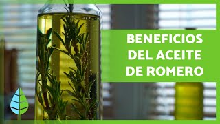 ACEITE de ROMERO 🪔🍃 ¡Propiedades BENEFICIOS y Cómo Hacerlo [upl. by Elladine881]